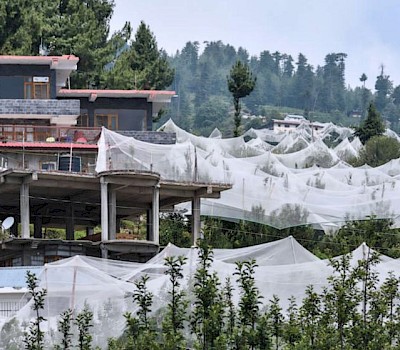 Shimla in Himachal Pradesh